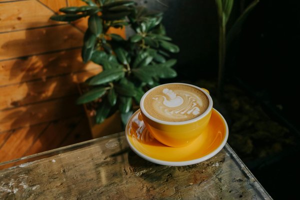 Découvrez et Adoptez les Secrets Beauté des Célébrités