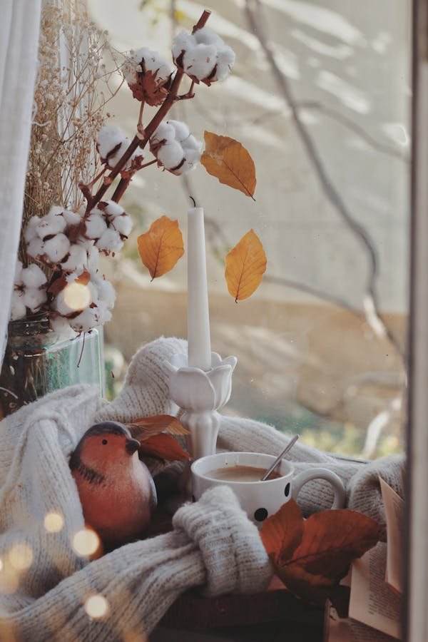 Coton pima : l'élégance et la résistance à portée de main